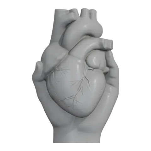 Heart in hand